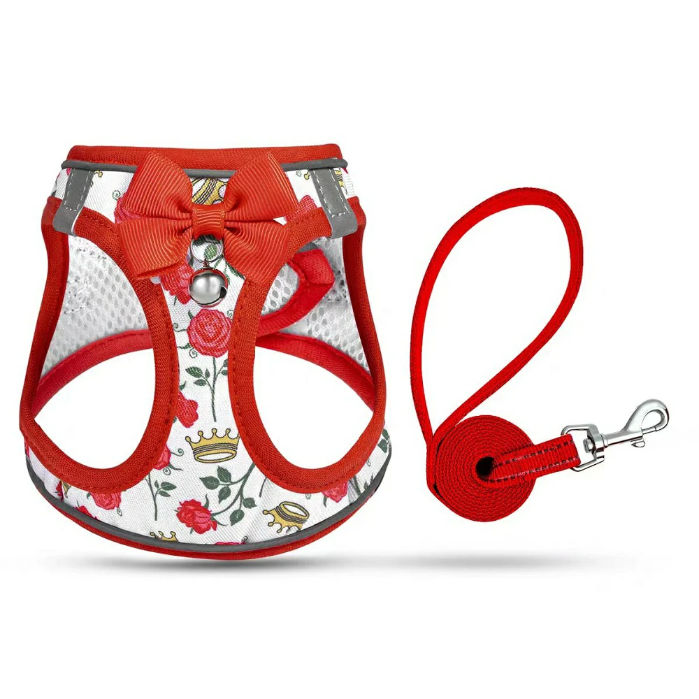 Extreme Agent Series - A cat harness full of spring atmosphere