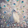 Peacock-Special Shaped Diamond Painting