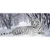 (90*45cm)Tiger - Full Round Drill Diamond Painting