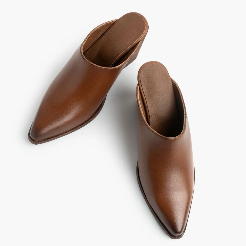 Slip-On Pointed Toe Chunky Heel Women's Mules Shoes in Brown