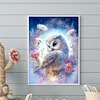 Diamond Painting-DIY Round Drill Owl(Round and Part AB Drill) (35*45CM)