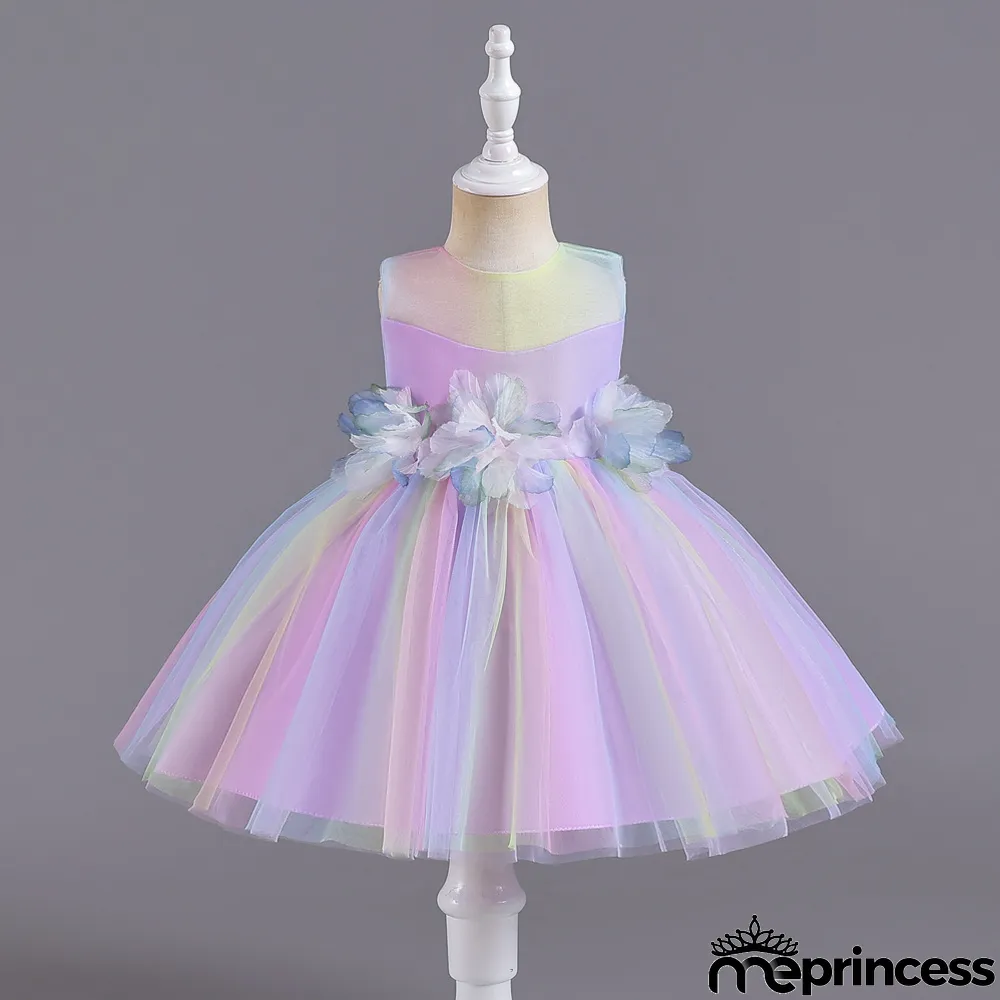 Infant and Toddler Dresses Floral Dress Multi-Color Mesh Pouf Princess Dress