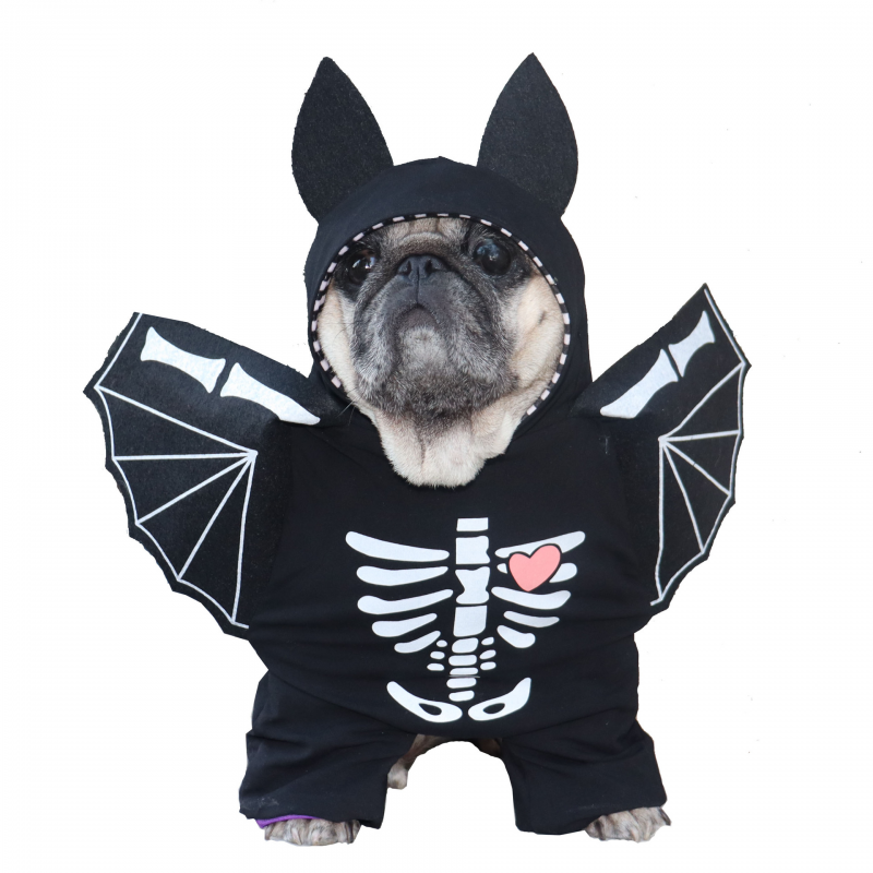 Skeleton Bat Funny Adjustable Pet Clothes Halloween Dogs Costume-VESSFUL