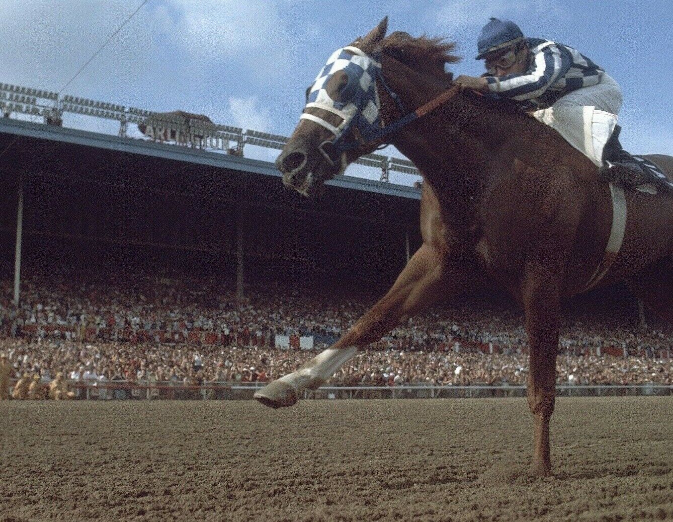 1973 Ron Turcotte SECRETARIAT Arlington Invitational Horse Racing 8x10 Photo Poster painting