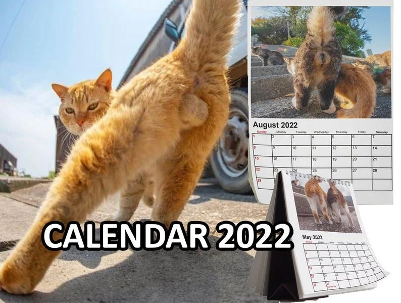 Cat Butt 2022 wall calendar