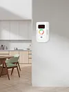 Plug-in Carbon Monoxide CO Detector Sound Light Warning CO Leak Detector