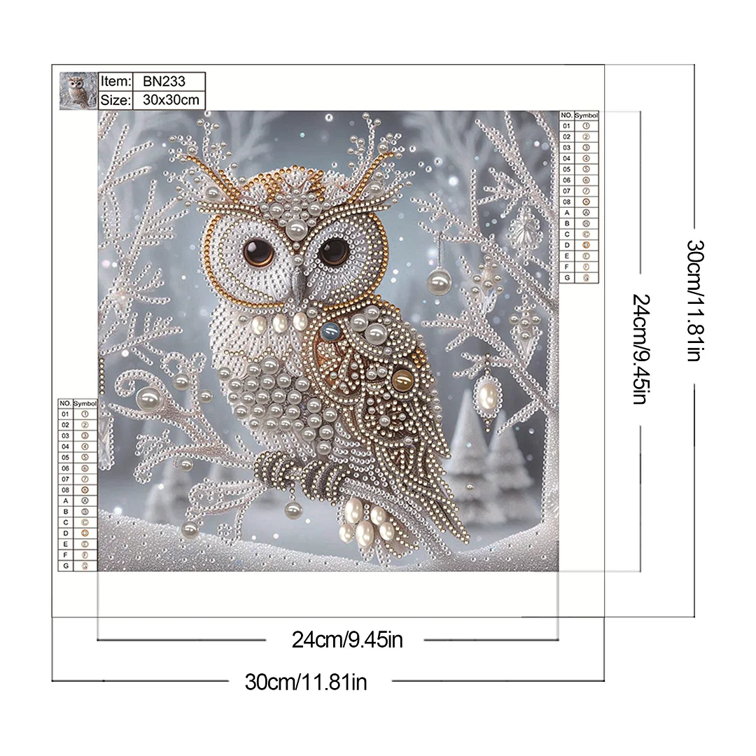 Crystal Owl Special Shaped 5D DIY Partial Drill Diamond Painting Kit Home Art 30x30cm
