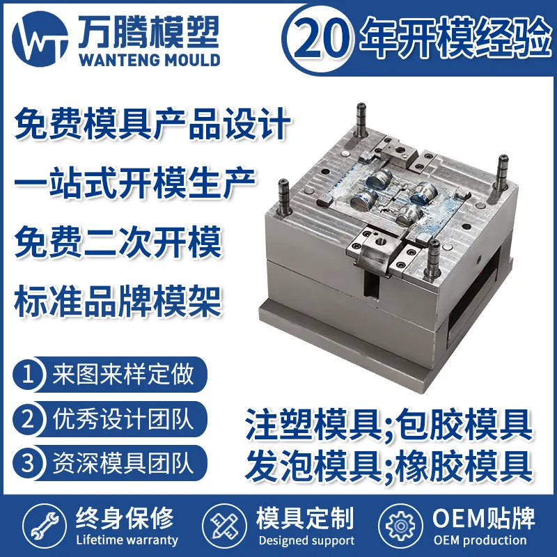 Beauty Instrument Needle Injection Mold WT2218 Precision Mold Design Molding Plastic Mold with Picture Design