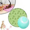 Jouets &eacute;lectriques pour chats &agrave; boule roulante automatique