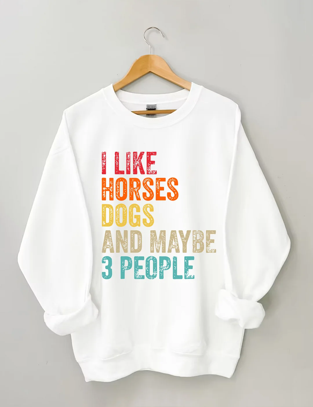 I Like Horses Dogs And Maybe 3 People Sweatshirt