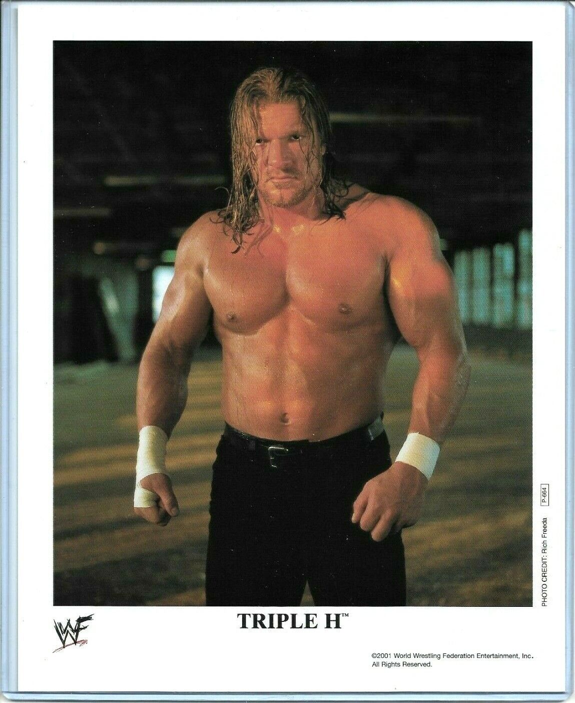 WWE TRIPLE H P-664 OFFICIAL LICENSED AUTHENTIC ORIGINAL 8X10 PROMO Photo Poster painting RARE