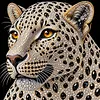 Leopard-Diamond Painting Pearl Art Kit(30X30cm)