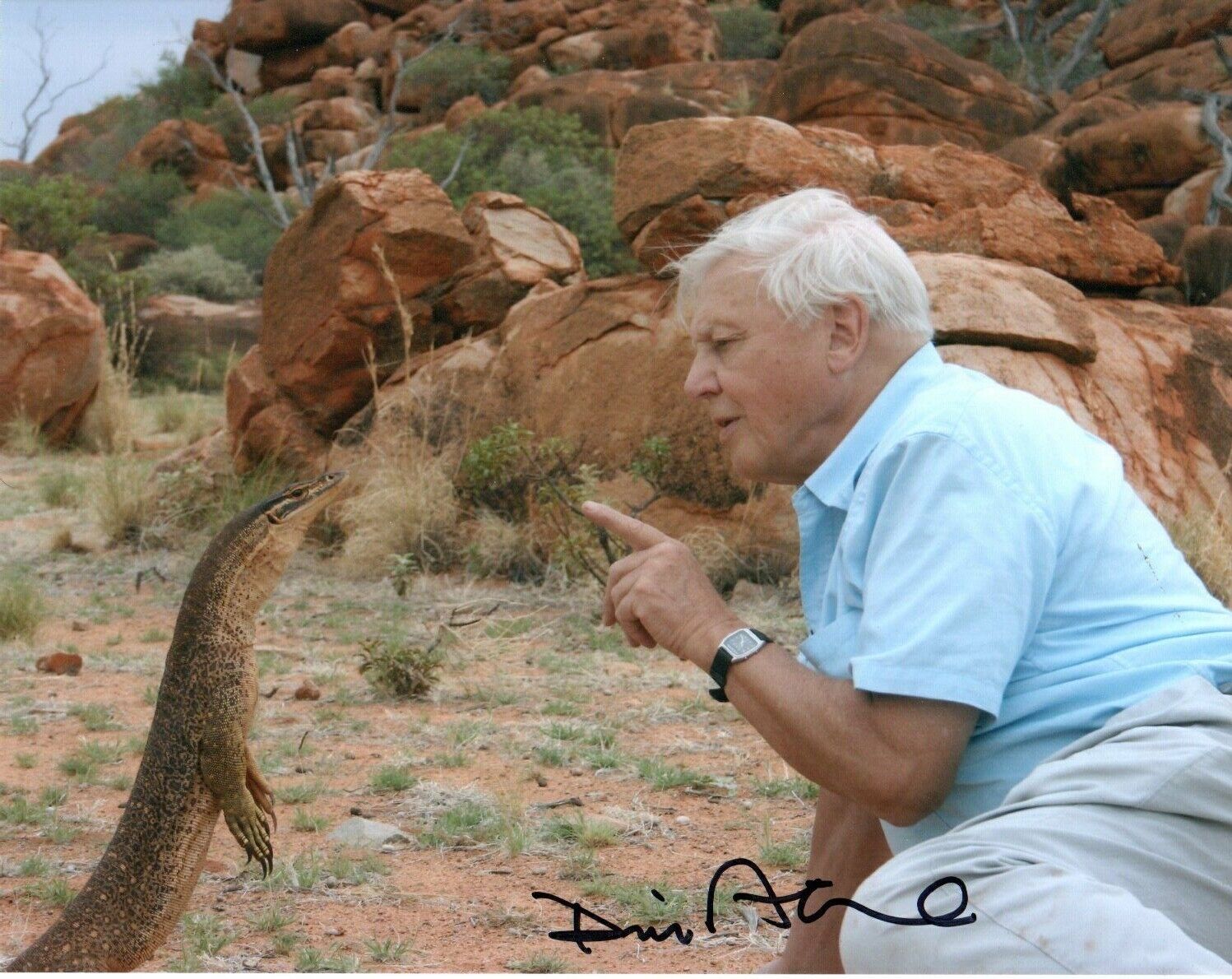 David Attenborough HAND Signed 10x8' Photo Poster paintinggraph Naturalist Broadcaster Autograph