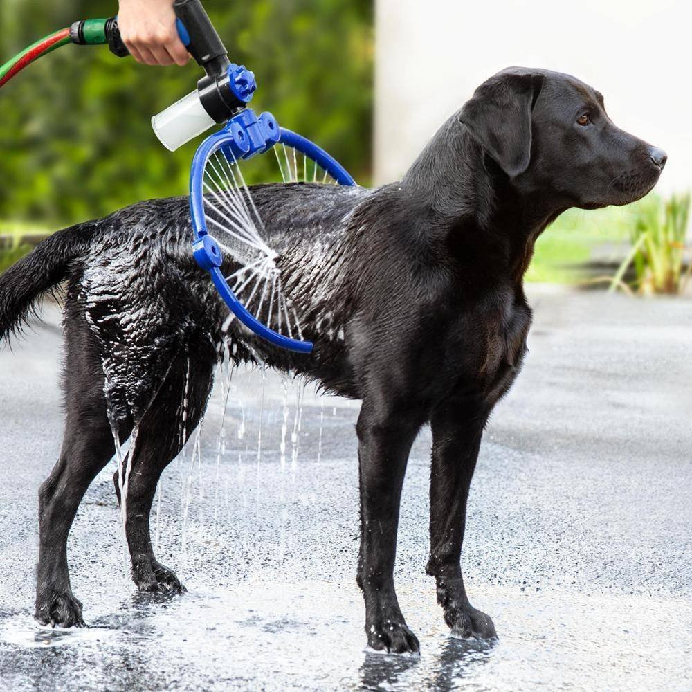 dog shower hose