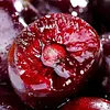 🍒Nasiona wiśni Rainier, wskaźnik przeżywalności 90%, bezpłatny zwrot pieniędzy w przypadku braku zadowolenia