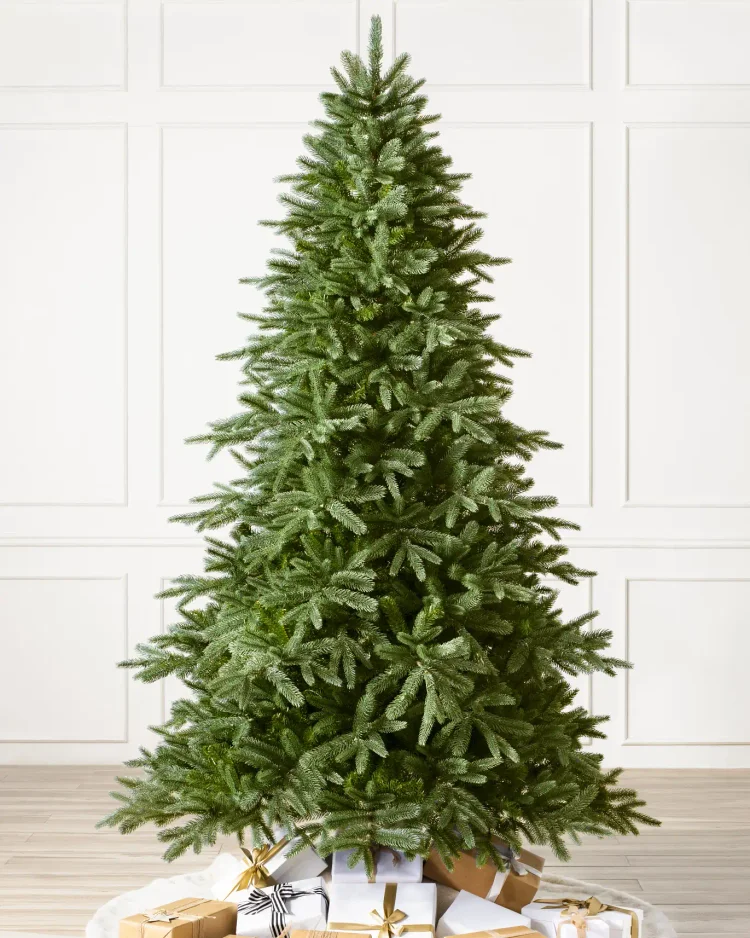 🔥kukelife🔥Saratoga Spruce?? Tree