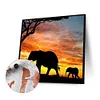 uk.everydayedeals (Limited Stock)Paint By Number - Oil Painting -  Elephant (40*40Cm)