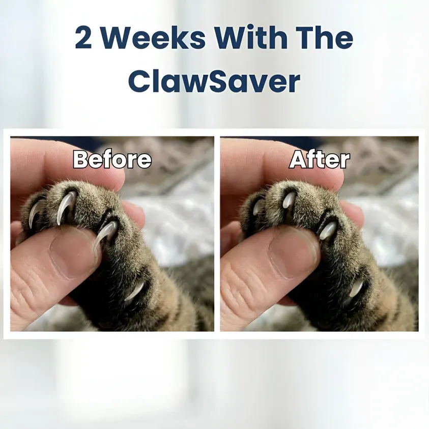 Cat ClawSaver&trade;