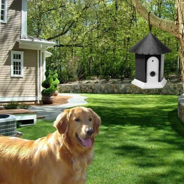 Anti Barking Device , Perfect Ultrasonic Device For Training