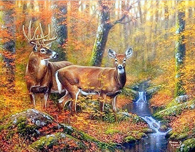 

Mule Deer – Paint By Numbers - 40*50CM, 501 Original