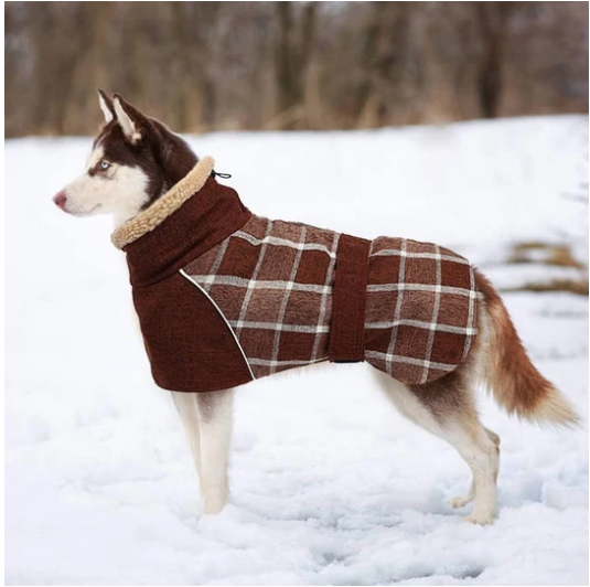 Thick Fleece Lining Thermal Jacket[For Medium/Large Dog]