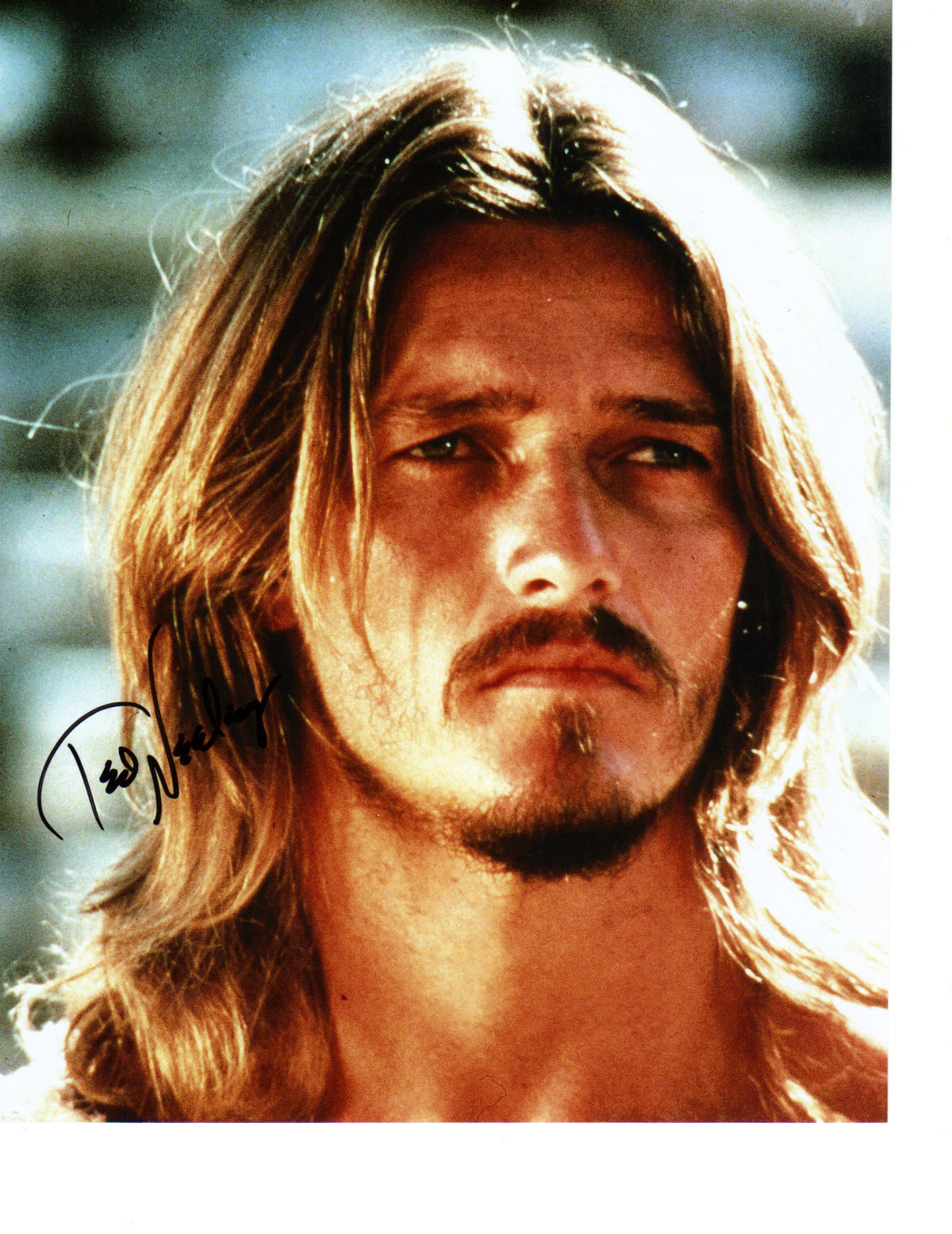 Ted Neeley Jesus Christ Superstar Signed 8X10 Photo Poster painting At Hollywoodshow