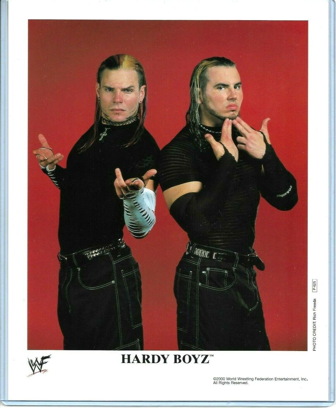 WWE HARDY BOYZ P-625 OFFICIAL LICENSED AUTHENTIC ORIGINAL 8X10 PROMO Photo Poster painting RARE