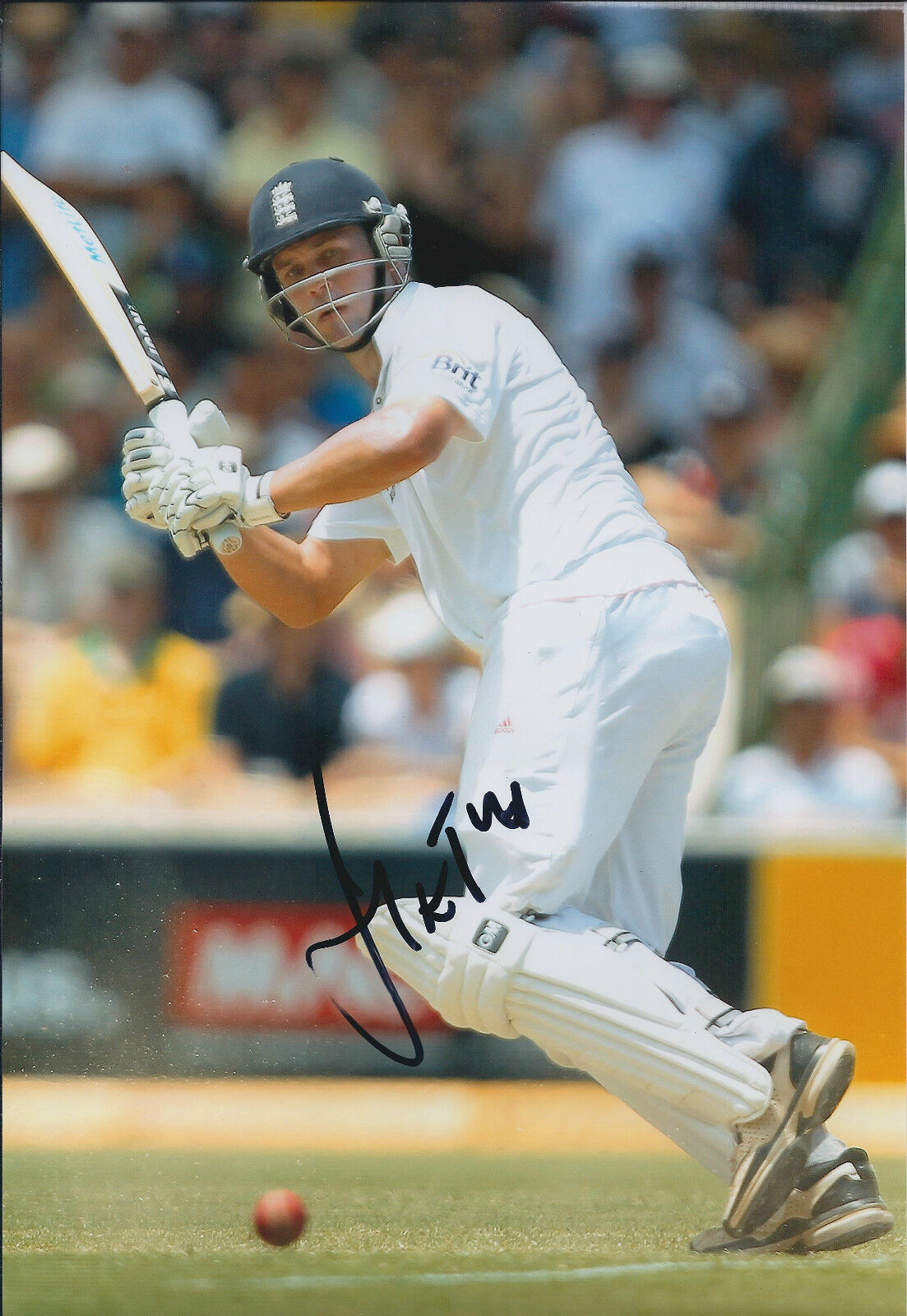 Jonathan TROTT Signed Autograph 12x8 Photo Poster painting AFTAL COA CRICKET Warwickshire