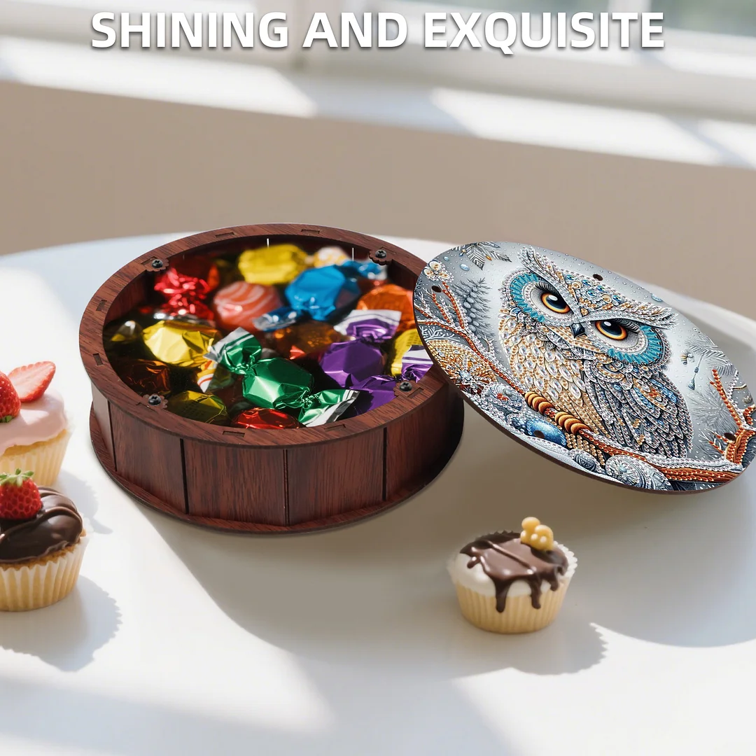 Diamond Painting Round Snack Box Kit Art Decor for Handmade Decor Gifts (Owl)