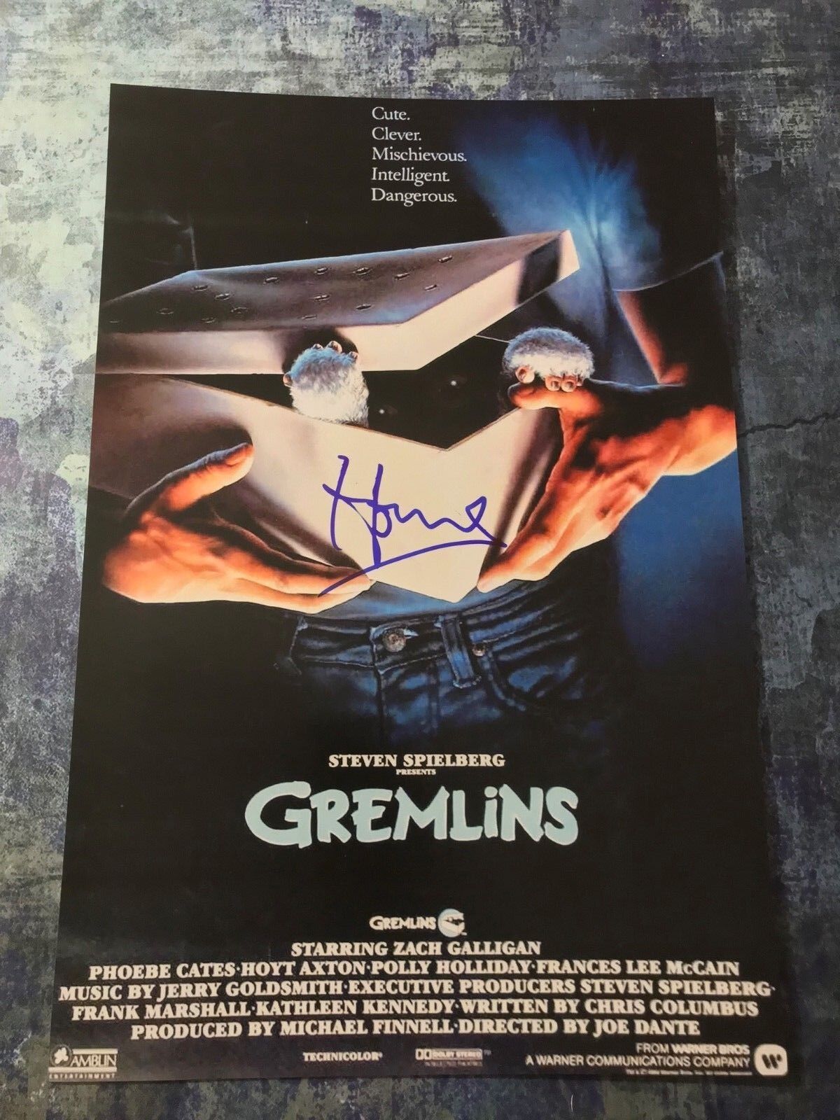 GFA Gremlins Gizmo * HOWIE MANDEL * Signed Autographed 12x18 Photo Poster painting PROOF AD1 COA