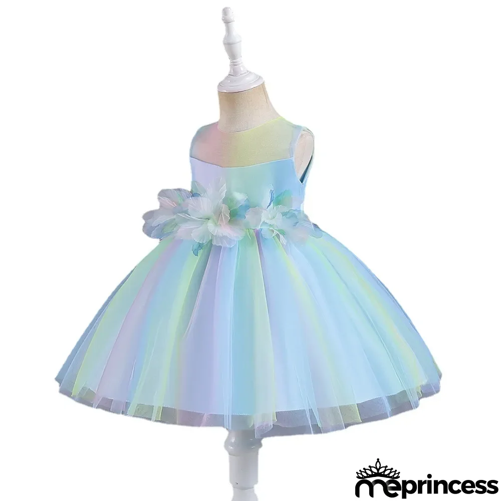 Infant and Toddler Dresses Floral Dress Multi-Color Mesh Pouf Princess Dress