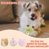 Dog Ball Toys - Super Squeaky Durable Dog Toys for All Breeds - Plush Dog Squeak Toy Balls | Animal-Themed Plush Toys