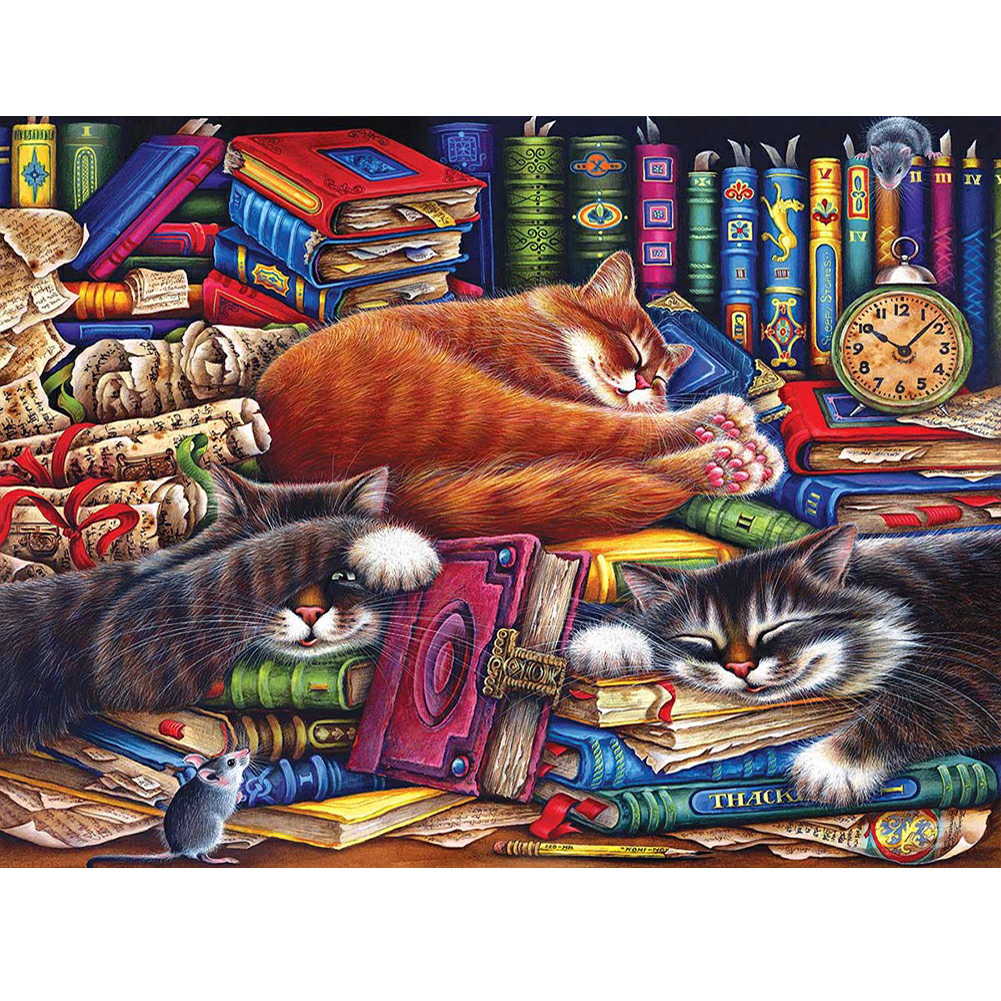 

Cat Sleeping On Book - Square Drill Diamond Painting - 60*50CM, 501 Original