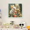 Two Rabbits-11CT Stamped Cross Stitch 40*40cm/15.75*15.75in tapestrymarket