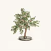 Success Wealth Feng Shui Antique Jade Stone Tree For Gift