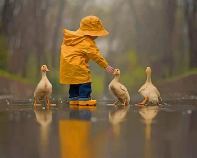 

Boy Playing With Ducks – Paint By Numbers - 40*50CM, 501 Original
