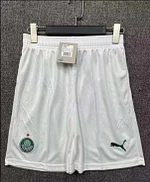 2025/2026 Palmeiras Home Shorts Football Shirt 1:1 Thai Quality