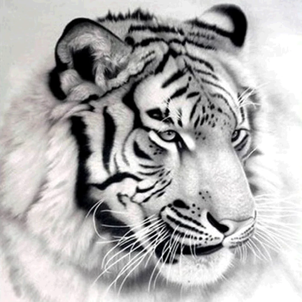 Tiger - Partial Drill - Diamond Painting(30*30cm)