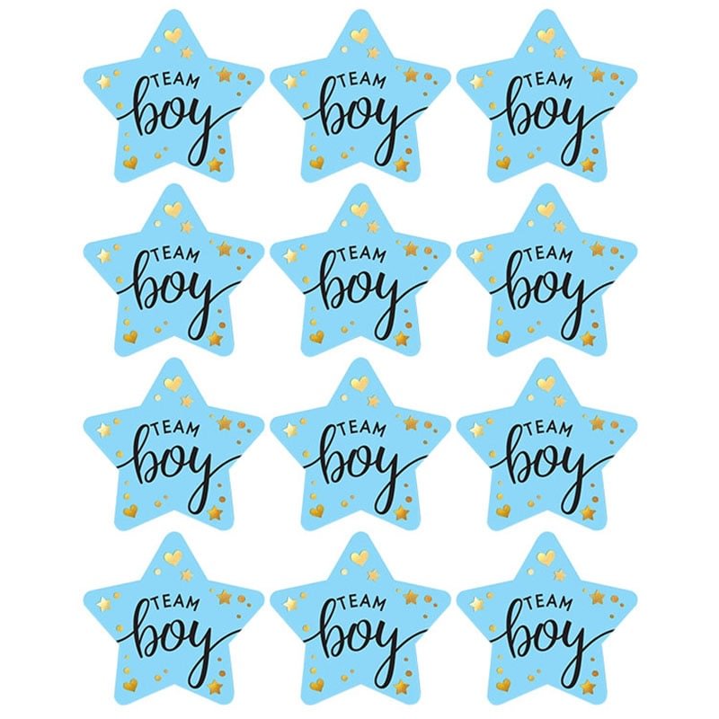 60/120pcs Team Boy Team Girl Stickers Boy or Girl Sticker for Gender Reveal Party Decoration Baby Shower Supplies Gift Box Label