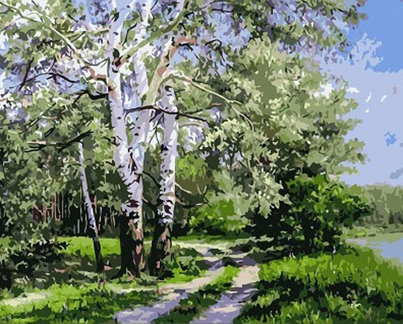 

Quiet Birch Forest – Paint By Numbers - 40*50CM, 501 Original