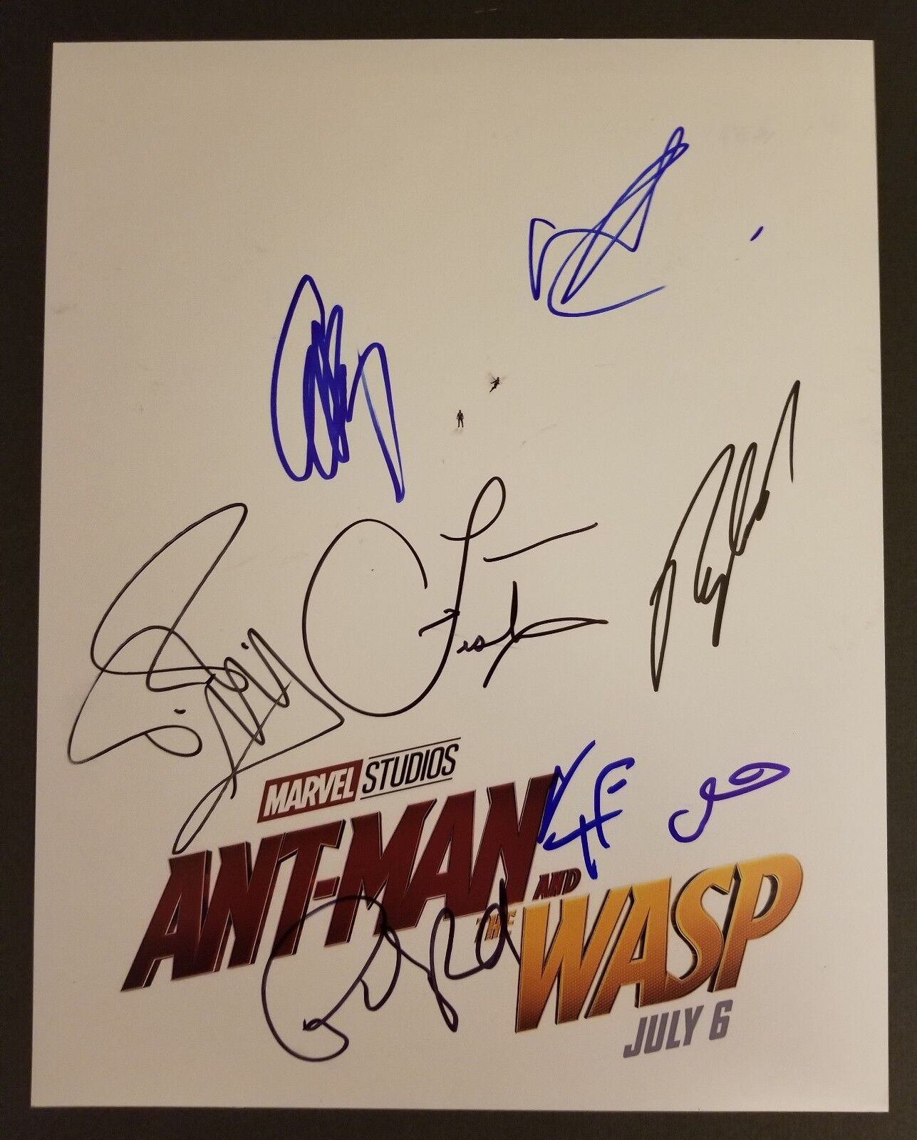 ANT-MAN and the WASP Cast(x8) Authentic Hand-Signed PAUL RUDD 11x14 Photo Poster painting