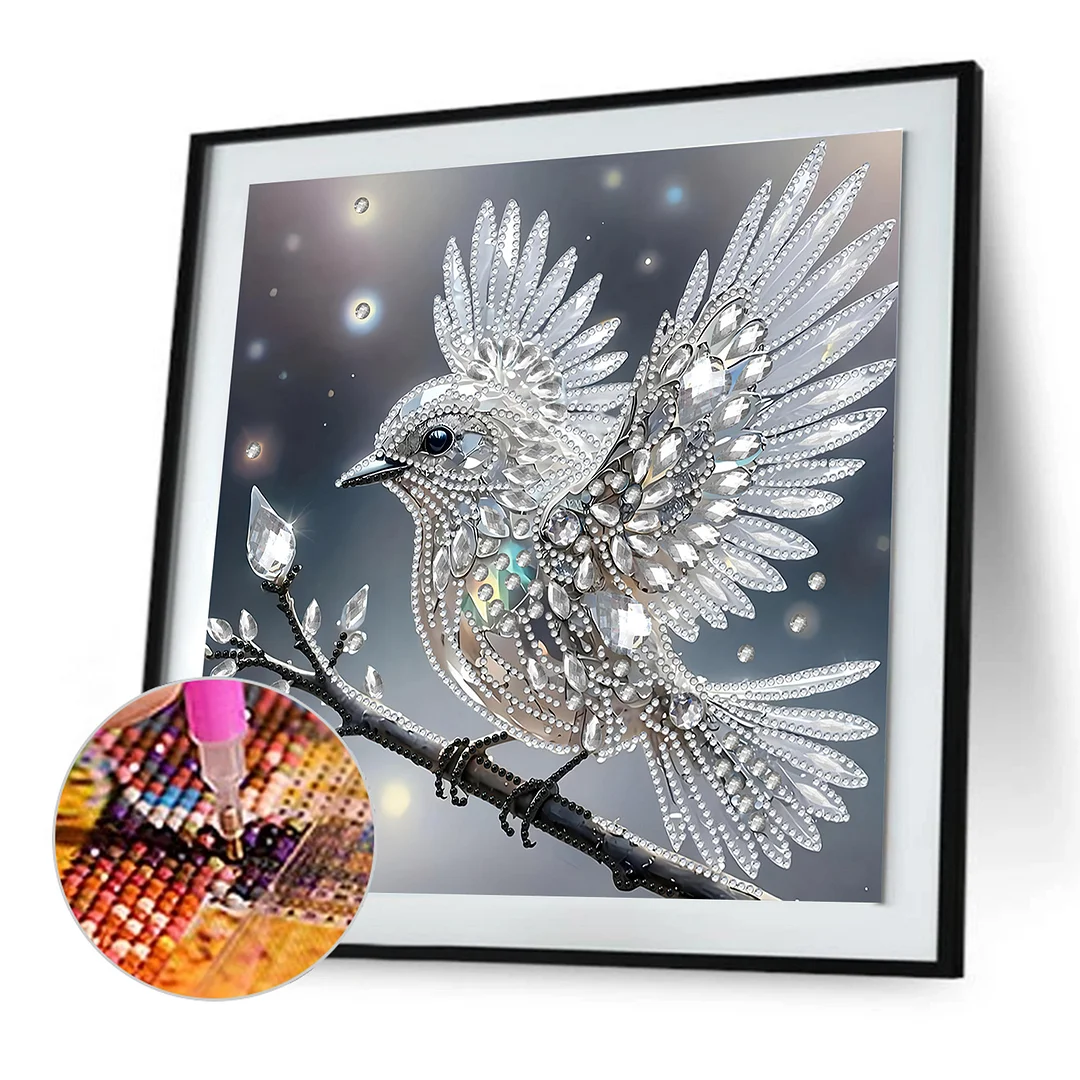 Hummingbird Special Shaped 5D DIY Partial Drill Diamond Painting Kit 30x30cm