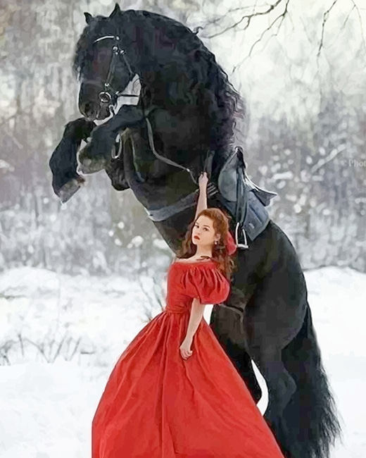 

Girl with Black Horse – Paint By Numbers - 40*50CM, 501 Original