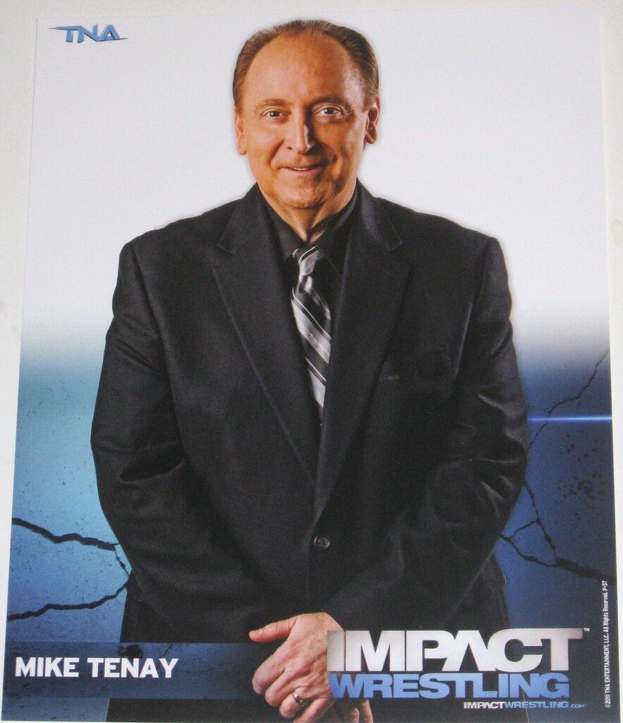 TNA MIKE TENAY P-37 IMPACT WRESTLING 8X10 PROMO Photo Poster painting