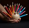 Dolphin Wooden Pen Holder Storage Box with 24 Colored Pencils