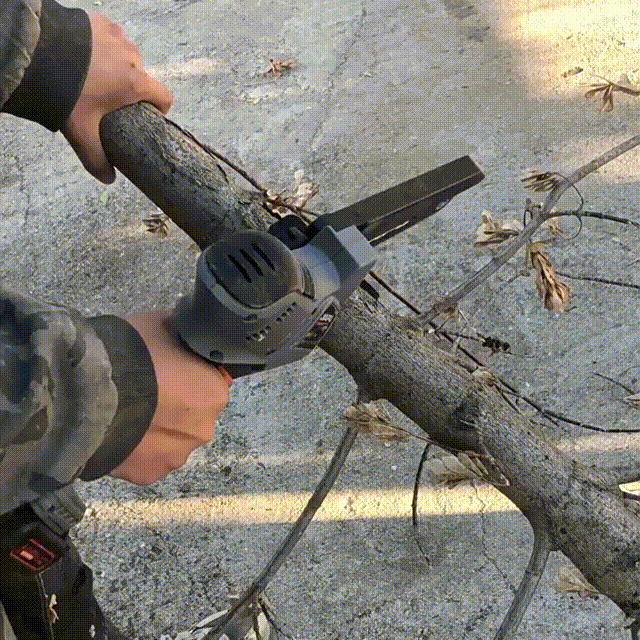 Maio 1 00_00_00-00_00_30.gif