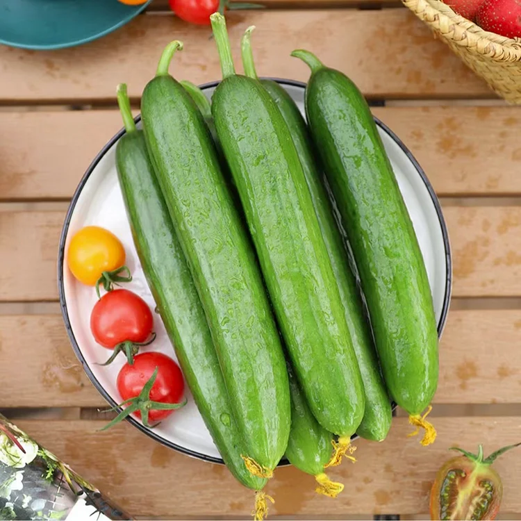 Big Sale - Fruit Cucumber Seeds