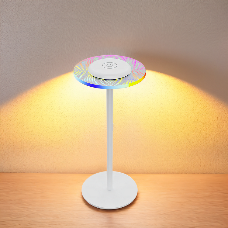  Cordless Lamp Dynamic Lighting