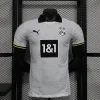 24/25 Player Dortmund Soccer Jersey Second Away