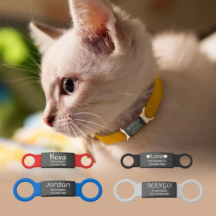 Cat Tags - Slide on Pet Tag - Custom Slide on Cat Id Tag - Pet Id Tag 